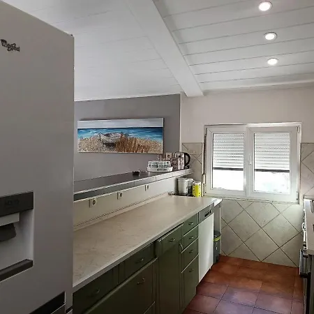 Sofia, 200 M From The * Bibinje