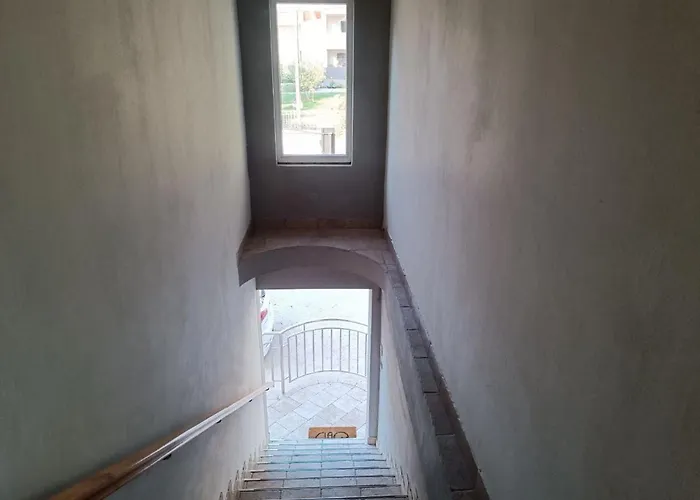 Sofia, 200 M From The * Bibinje